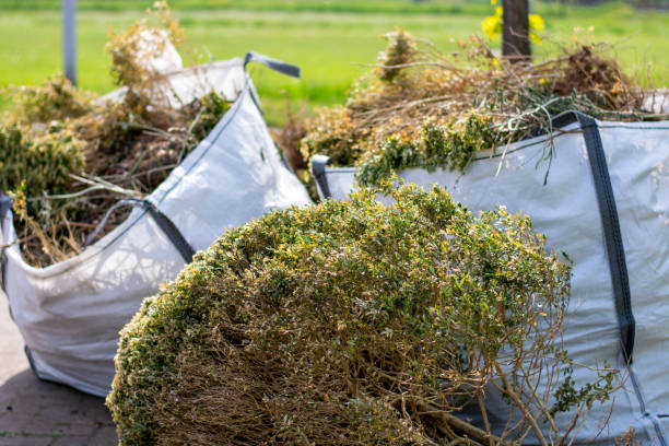 Best Basement Cleanout  in Hartland, WI